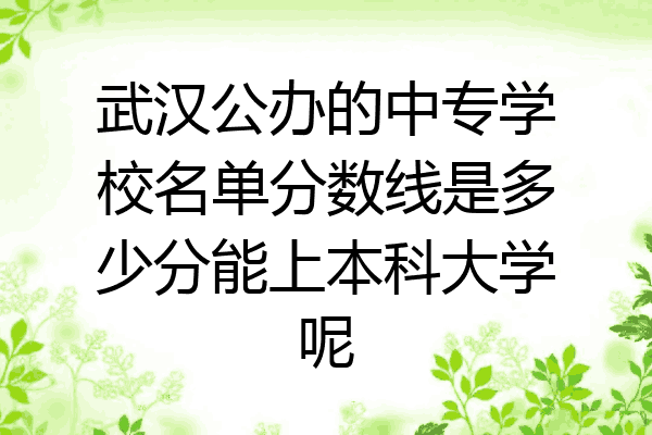 武汉公办的中专学校名单分数线是多少分能上本科大学呢