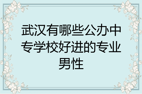 武汉有哪些公办中专学校好进的专业男性