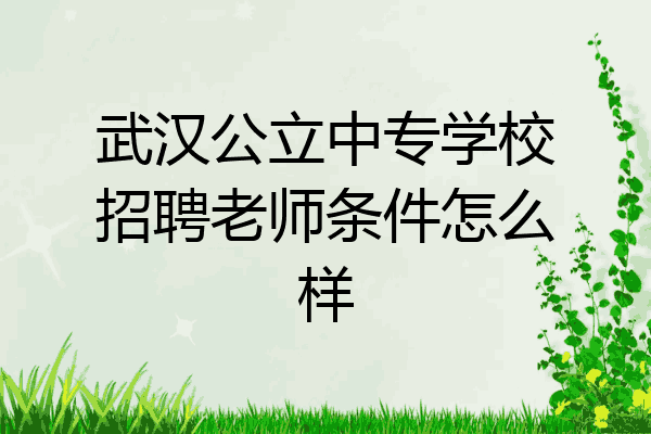 武汉公立中专学校招聘老师条件怎么样