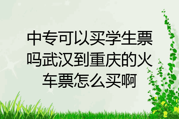 中专可以买学生票吗武汉到重庆的火车票怎么买啊