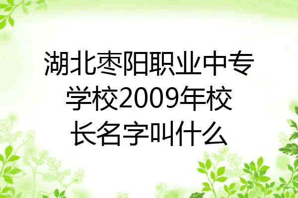 湖北枣阳职业中专学校2009年校长名字叫什么
