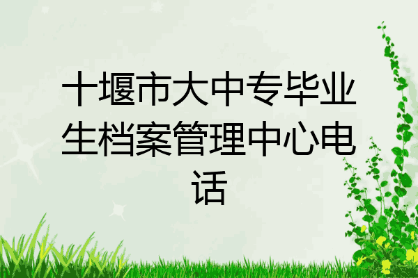 十堰市大中专毕业生档案管理中心电话