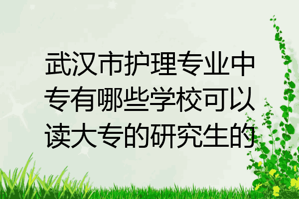 武汉市护理专业中专有哪些学校可以读大专的研究生的
