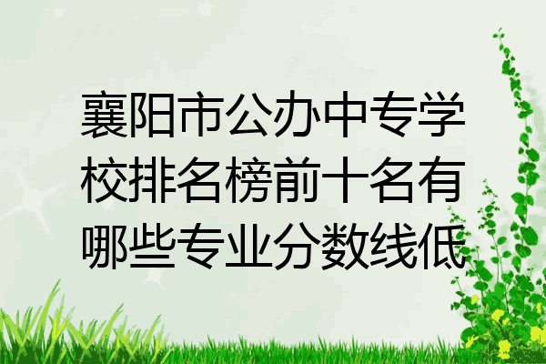襄阳市公办中专学校排名榜前十名有哪些专业分数线低