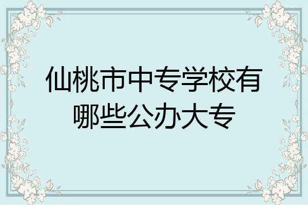 仙桃市中专学校有哪些公办大专