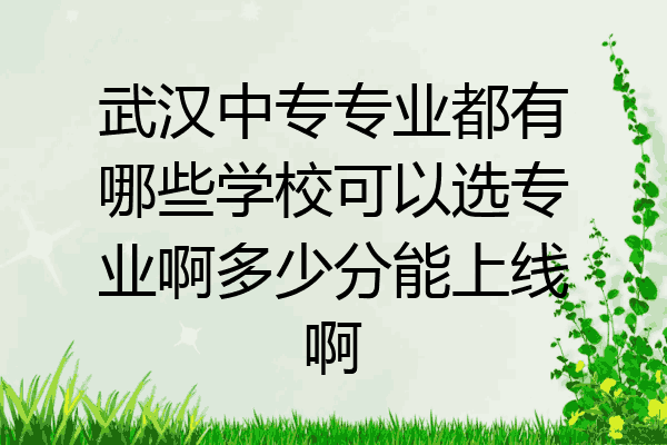 武汉中专专业都有哪些学校可以选专业啊多少分能上线啊