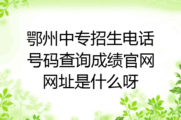 鄂州中专招生电话号码查询成绩官网网址是什么呀