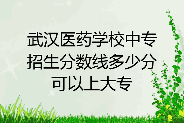 武汉医药学校中专招生分数线多少分可以上大专