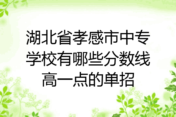 湖北省孝感市中专学校有哪些分数线高一点的单招