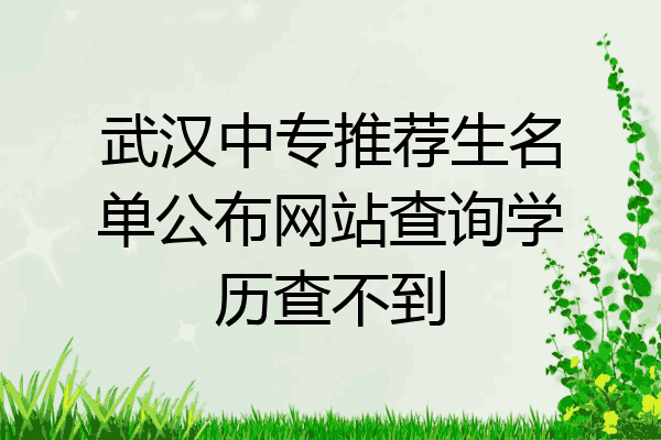 武汉中专推荐生名单公布网站查询学历查不到