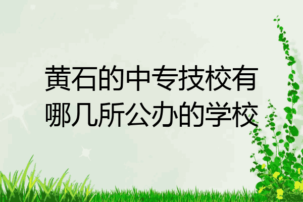 黄石的中专技校有哪几所公办的学校