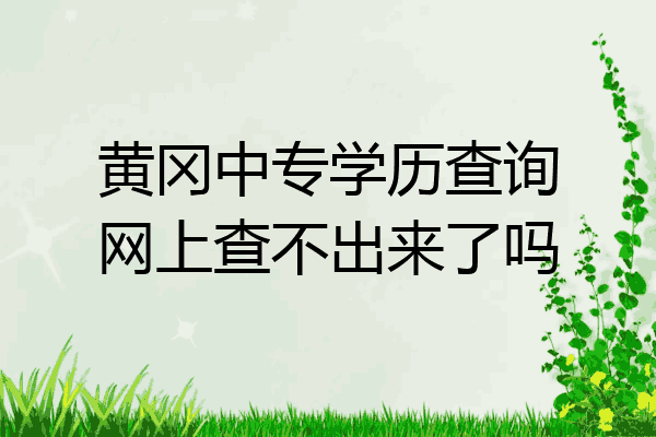 黄冈中专学历查询网上查不出来了吗