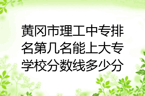 黄冈市理工中专排名第几名能上大专学校分数线多少分