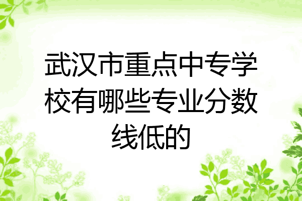 武汉市重点中专学校有哪些专业分数线低的