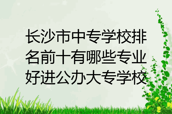 长沙市中专学校排名前十有哪些专业好进公办大专学校