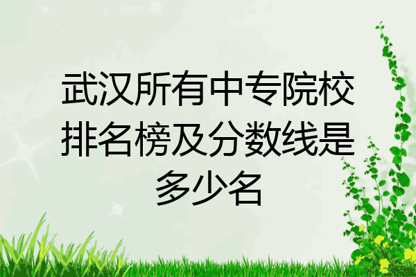 武汉所有中专院校排名榜及分数线是多少名