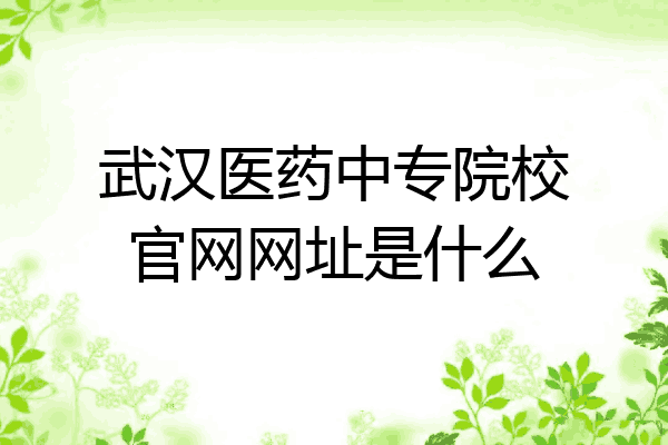 武汉医药中专院校官网网址是什么