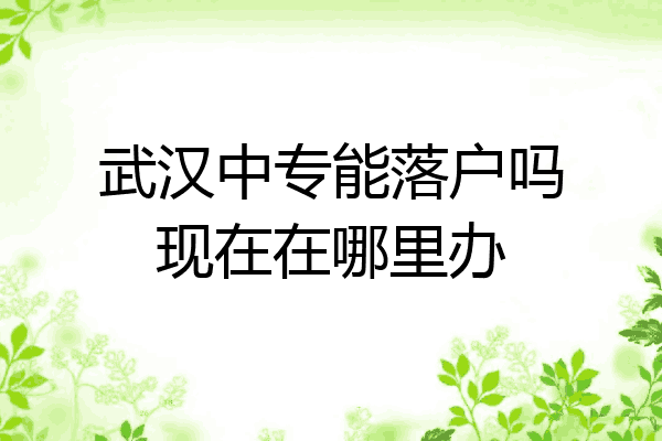 武汉中专能落户吗现在在哪里办