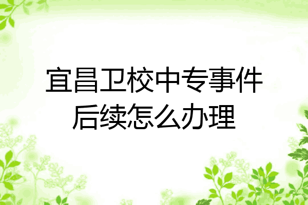 宜昌卫校中专事件后续怎么办理