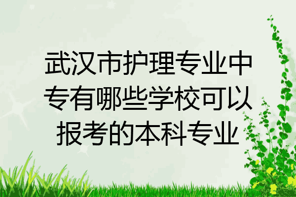 武汉市护理专业中专有哪些学校可以报考的本科专业