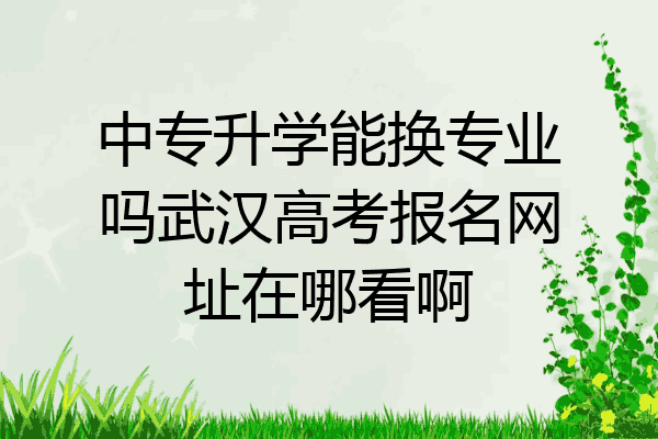 中专升学能换专业吗武汉高考报名网址在哪看啊