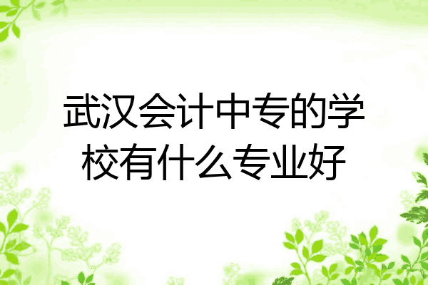 武汉会计中专的学校有什么专业好