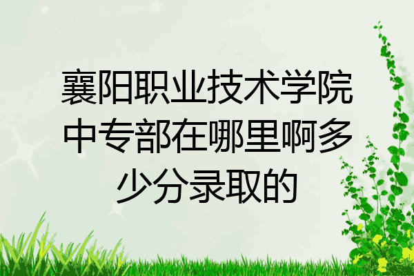 襄阳职业技术学院中专部在哪里啊多少分录取的
