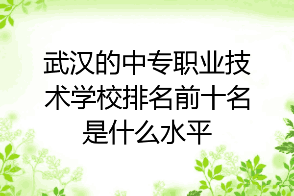 武汉的中专职业技术学校排名前十名是什么水平