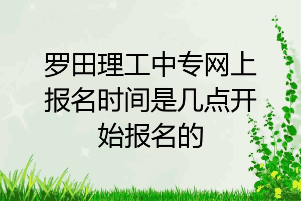 罗田理工中专网上报名时间是几点开始报名的