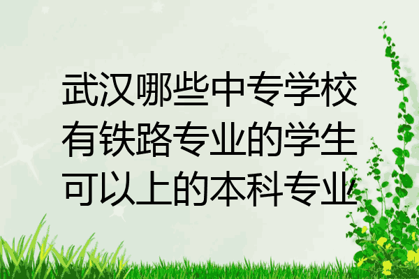 武汉哪些中专学校有铁路专业的学生可以上的本科专业