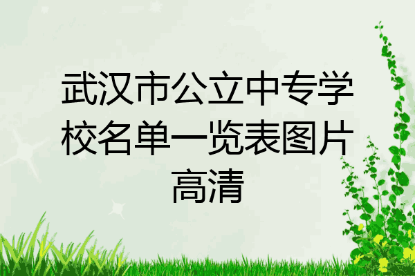 武汉市公立中专学校名单一览表图片高清