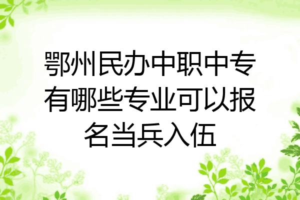 鄂州民办中职中专有哪些专业可以报名当兵入伍