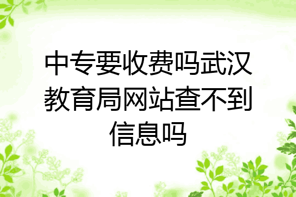 中专要收费吗武汉教育局网站查不到信息吗