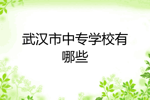 武汉市中专学校有哪些