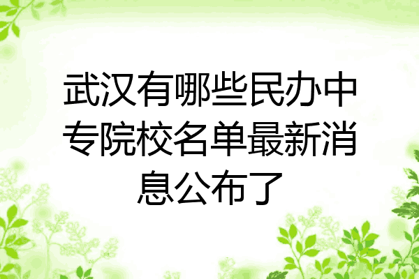 武汉有哪些民办中专院校名单最新消息公布了