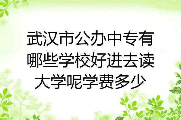 武汉市公办中专有哪些学校好进去读大学呢学费多少