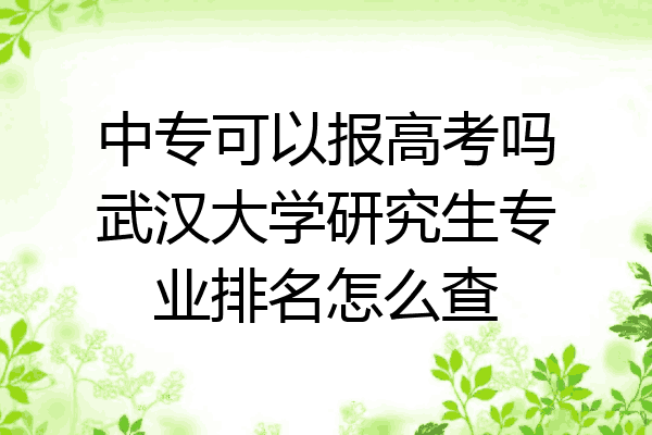 中专可以报高考吗武汉大学研究生专业排名怎么查