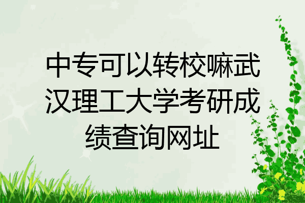 中专可以转校嘛武汉理工大学考研成绩查询网址