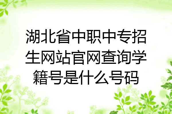湖北省中职中专招生网站官网查询学籍号是什么号码