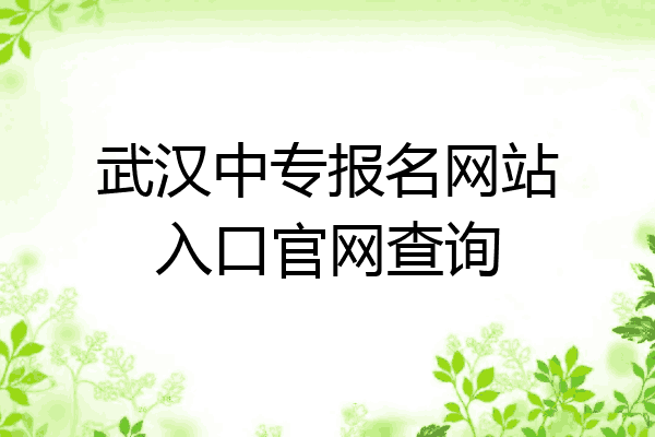 武汉中专报名网站入口官网查询