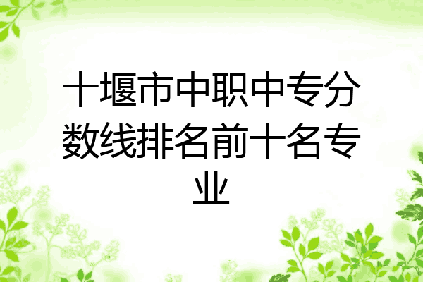 十堰市中职中专分数线排名前十名专业