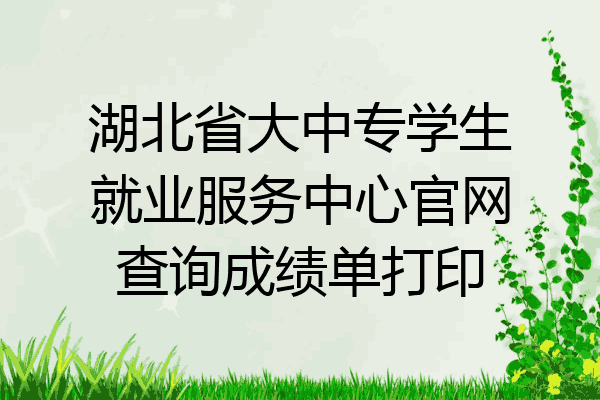 湖北省大中专学生就业服务中心官网查询成绩单打印