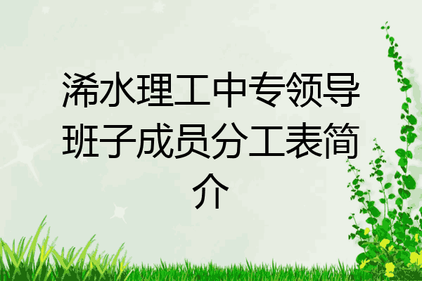 浠水理工中专领导班子成员分工表简介