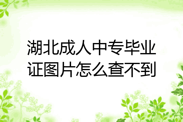 湖北成人中专毕业证图片怎么查不到