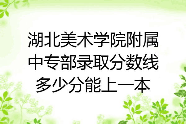 湖北美术学院附属中专部录取分数线多少分能上一本