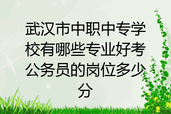 武汉市中职中专学校有哪些专业好考公务员的岗位多少分