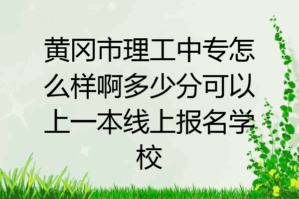 黄冈市理工中专怎么样啊多少分可以上一本线上报名学校