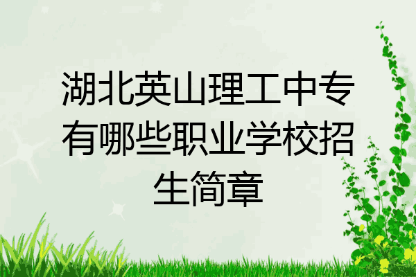 湖北英山理工中专有哪些职业学校招生简章