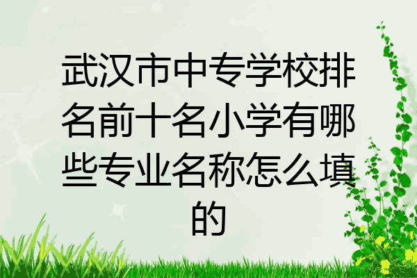 武汉市中专学校排名前十名小学有哪些专业名称怎么填的