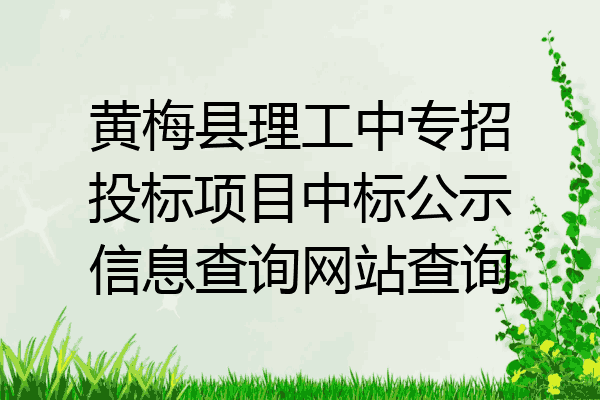黄梅县理工中专招投标项目中标公示信息查询网站查询